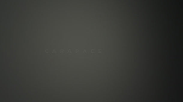 Carapace Wall and Ceiling Light product video
