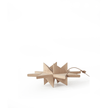 Hanging oak Fröbel Star by Boyhood on a plain background
