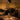 Graypants Wick Classic lifestyle, brass lamp on a dining table