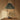 Le Klint 130 Pendant with Brass Fittings – Moss Green