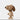 Boyhood x Peanuts Snoopy Oak Collectible – Small, Boyhood Denmark