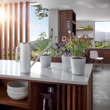 Watering Can Multiple Colors Blomus 65408