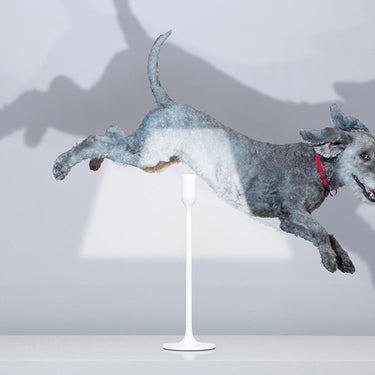 Illusion table lamp, with a dog leaping through the projected light | YOY by Innermost