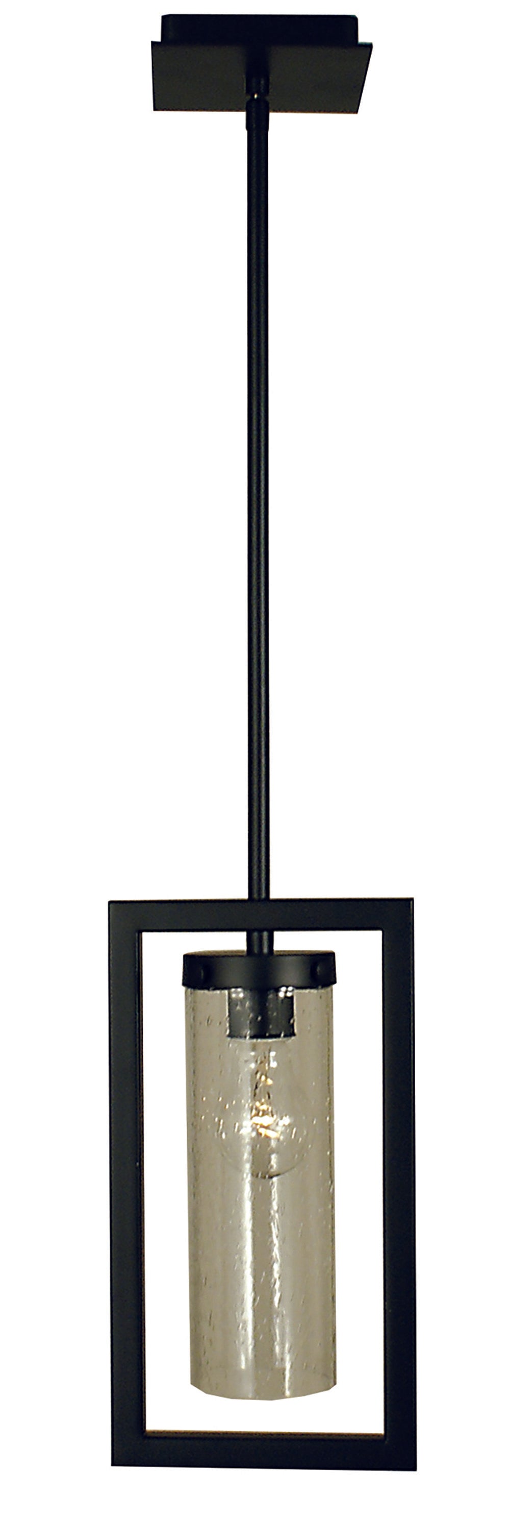 Framburg Matte Black Theorem Pendant