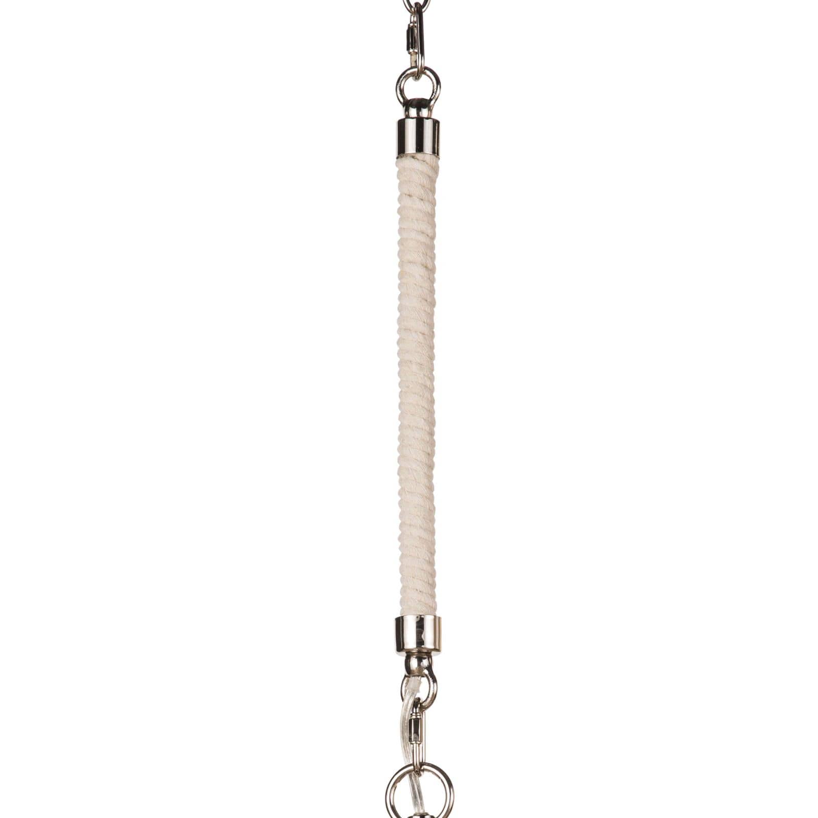 Dover Pendant in Polished Nickel by Coastal Living