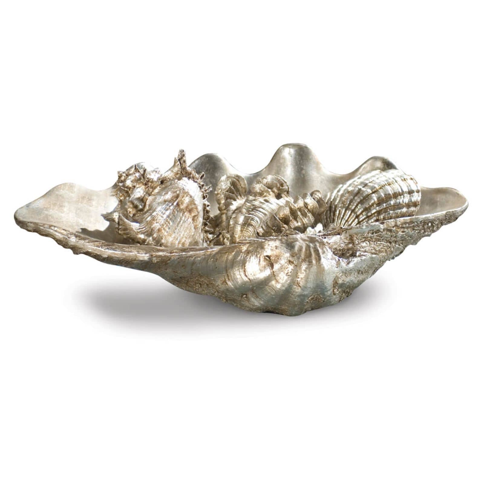 Clam Shell Medium with Small Shells in Silver by Regina Andrew