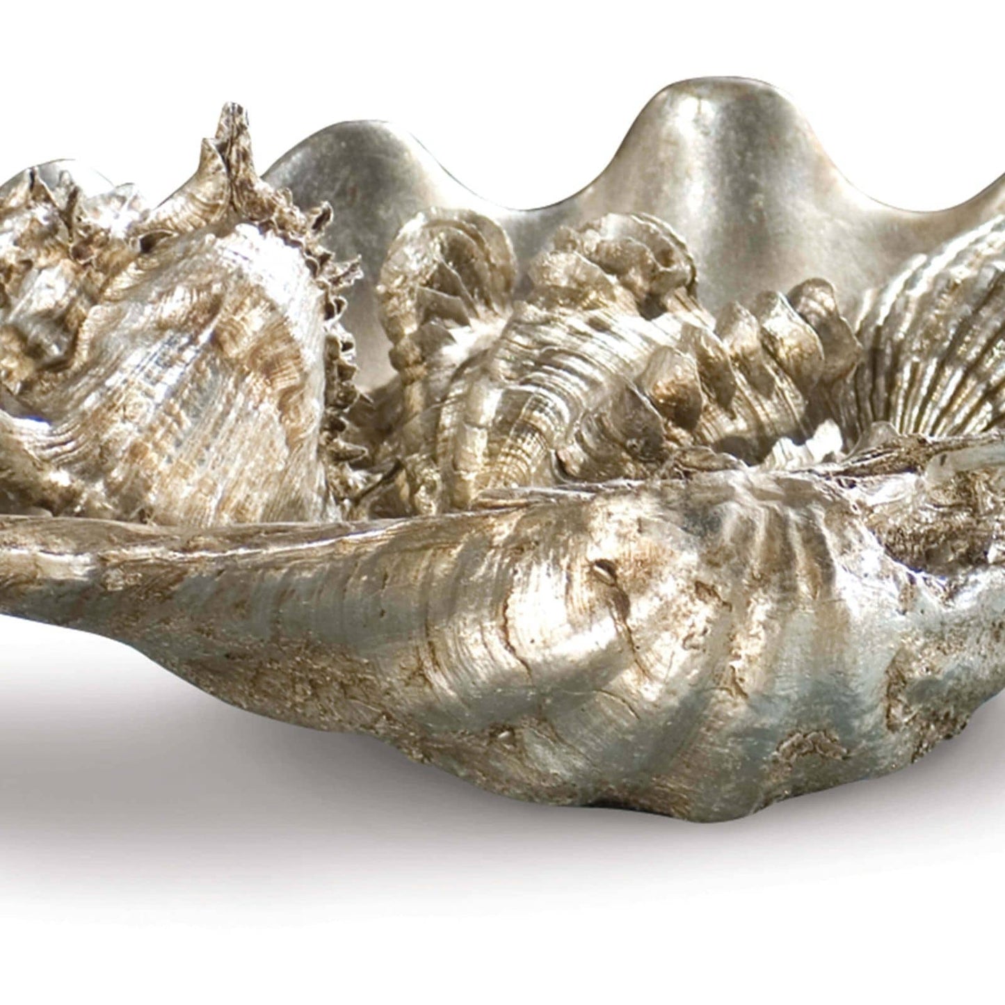 Clam Shell Medium with Small Shells in Silver by Regina Andrew