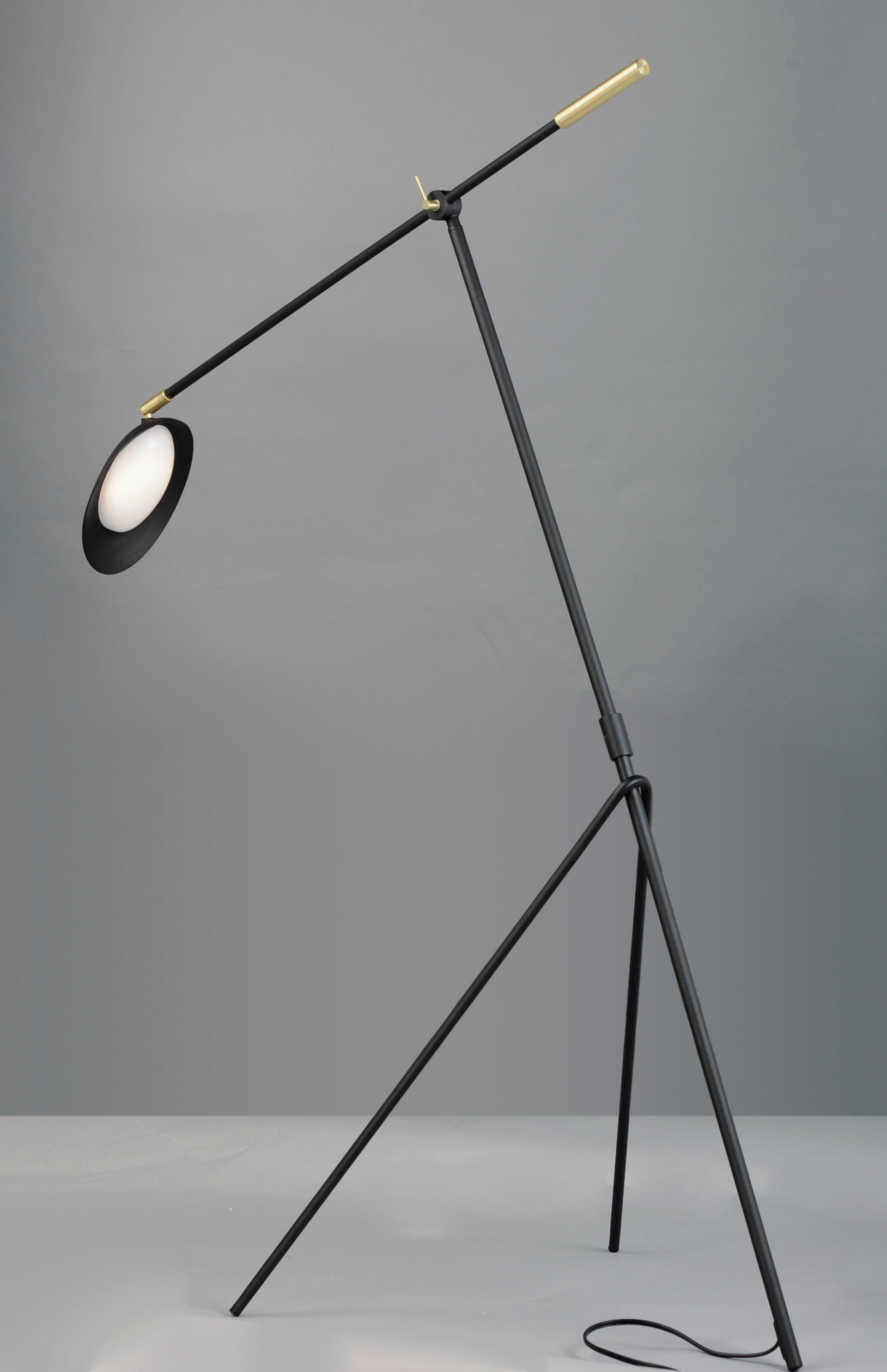 Maxim Scan LED Floor lamp