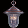 Framburg Carcassonne 3 - Light Siena Bronze Exterior Ceiling Mount 8326 SBR