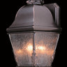 Framburg Coeur De Lion 3 - Light Siena Bronze Exterior Wall Mount 9605 SBR