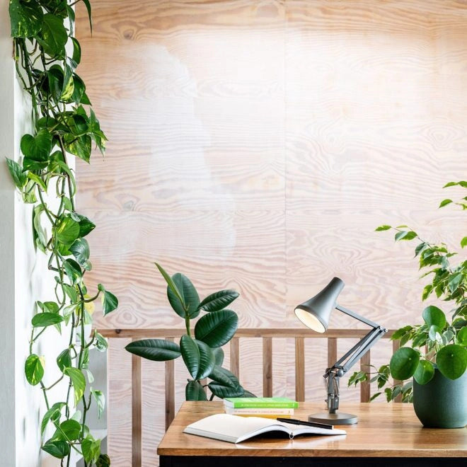 Anglepoise 90 Mini Mini - Kelp Green Desk Lamp
