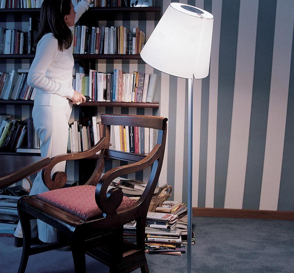 Artemide Melampo Floor Lamp - Elegant Grey Lighting Fixture