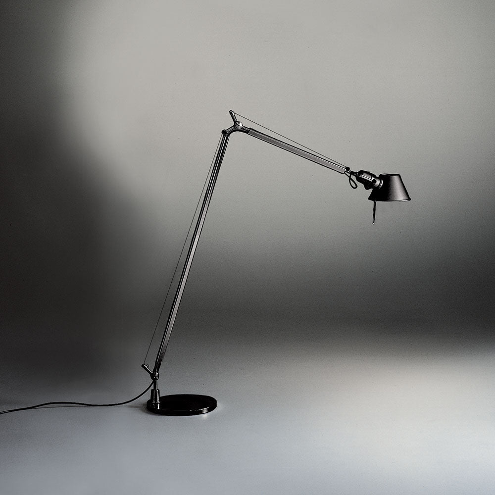 Artemide Tolomeo Reading Floor Lamp