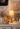 Compact Basica Minima Table Lamp on Birch Wood Column