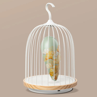 Daqiconcept Bluetooth Speaker + Light Jingoo Golden Ginkgo