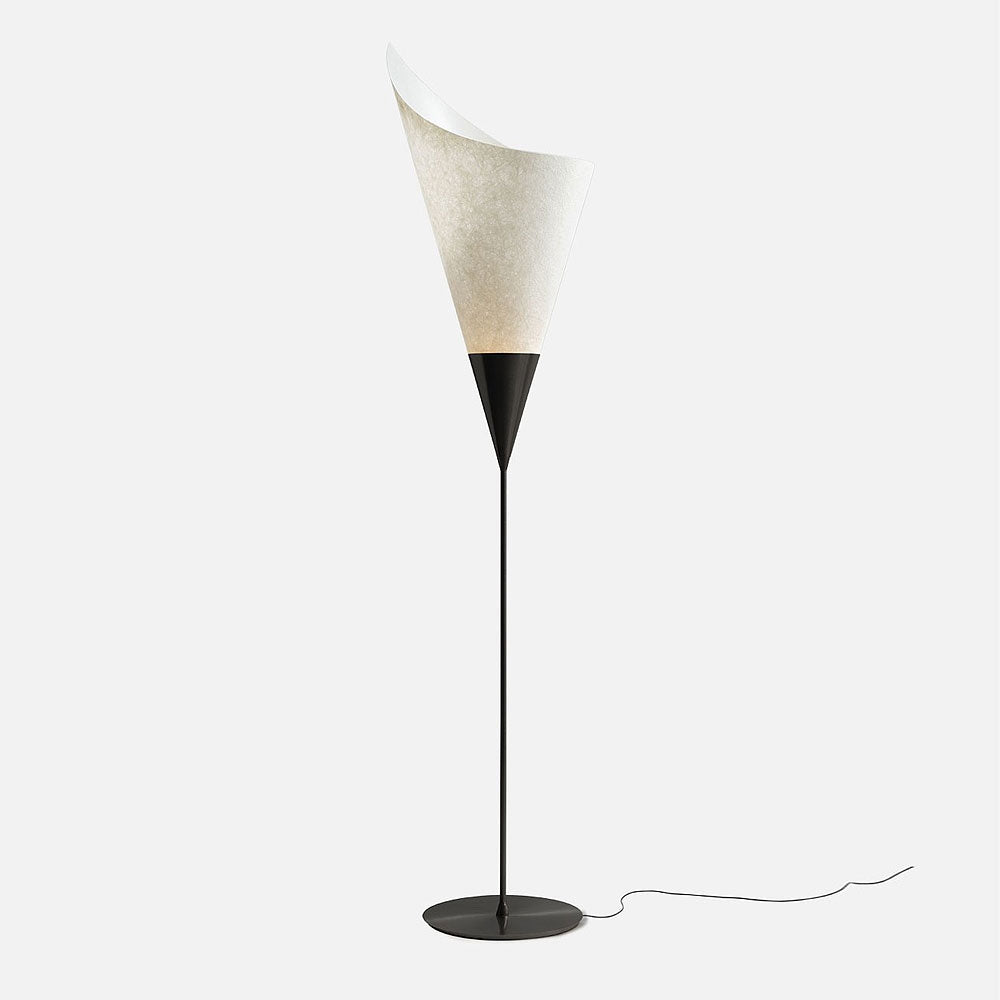 Pallucco Calla Big Floor Lamp