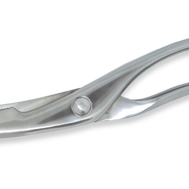 IC Design Campi Re-Edition Poultry Shears
