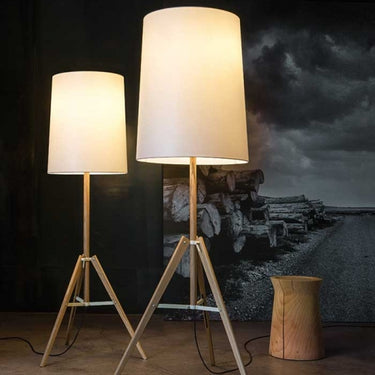 Tripod Floor Lamp by Carpyen