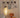 Santa & Cole Dorica Floor Lamp