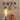 Santa & Cole Dorica Floor Lamp