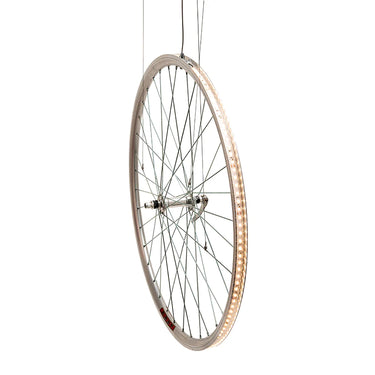 Cyclampa Eddy Pendant Light