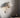 &Tradition Flowerpot Wall Lamp VP8