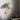 &Tradition Flowerpot Wall Lamp VP8