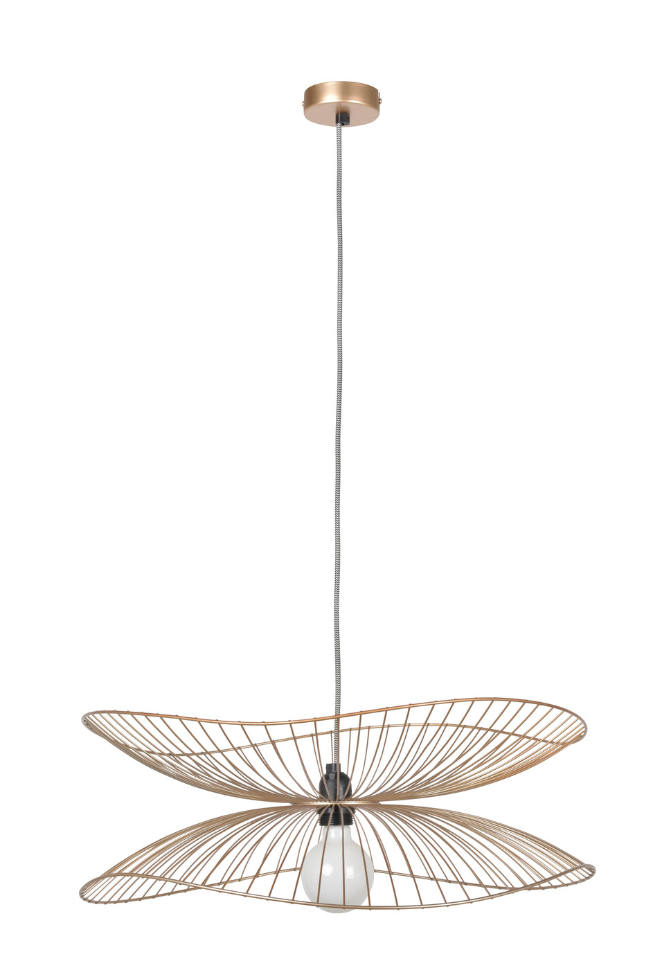 Libellule Small Pendant Light by Forestier