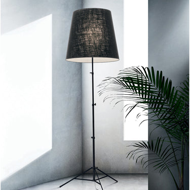 Pallucco Gilda Black Floor Lamp