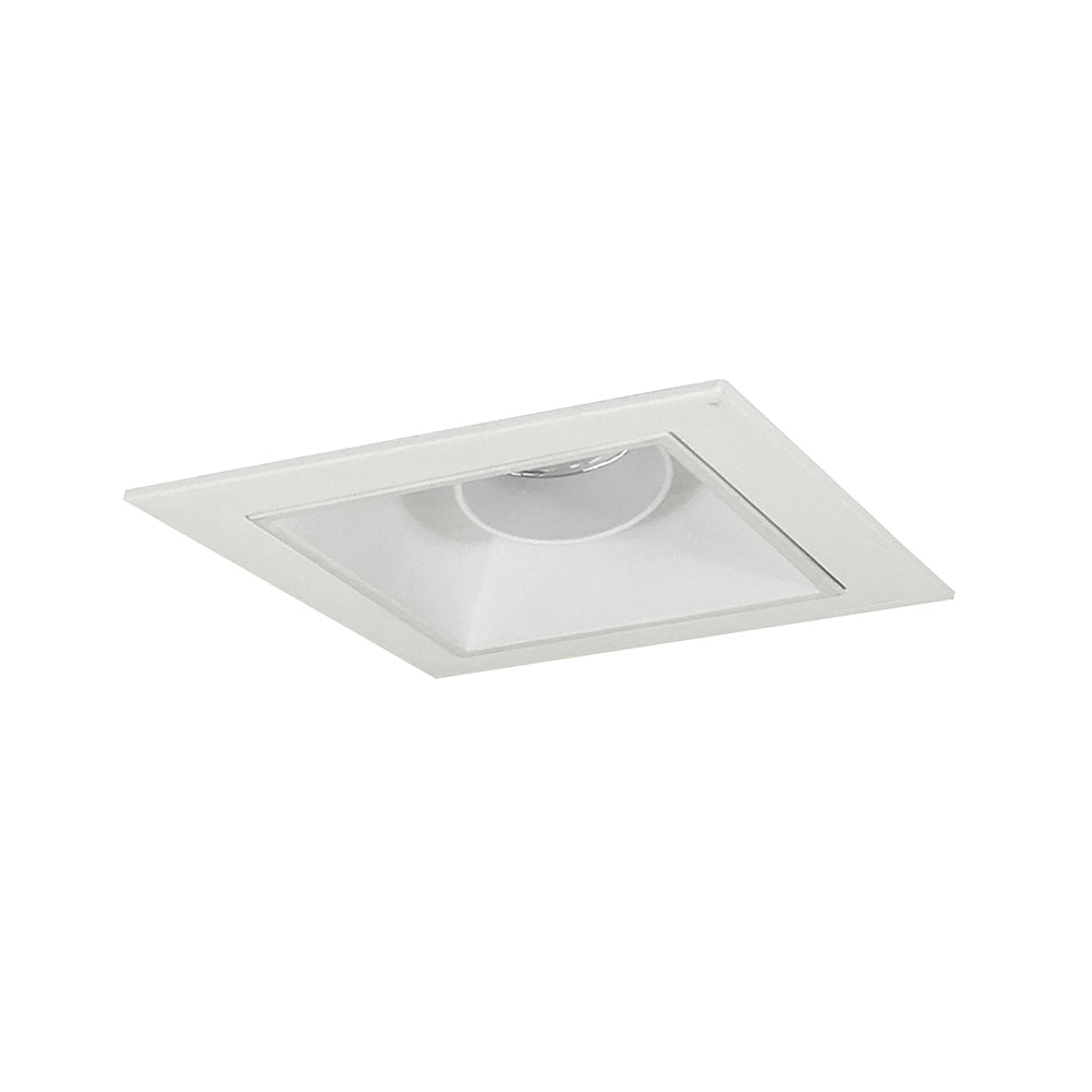 Nora Lighting Iolite MLS One Head Adjustable Snoot, Flanged