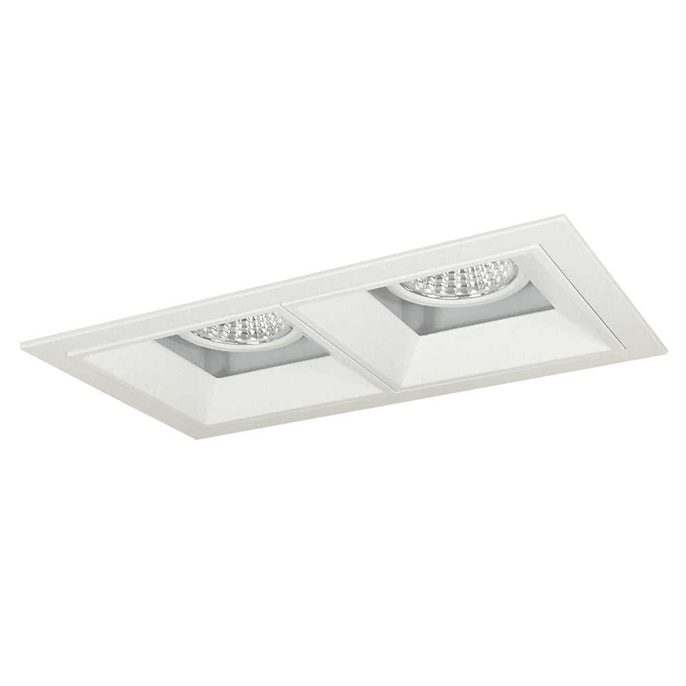 Nora Lighting Iolite MLS Two Head Fixed Downlight / Wall Wash, Flanged