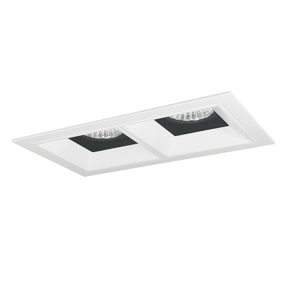 Nora Lighting Iolite MLS Two Head Fixed Downlight / Wall Wash, Flanged