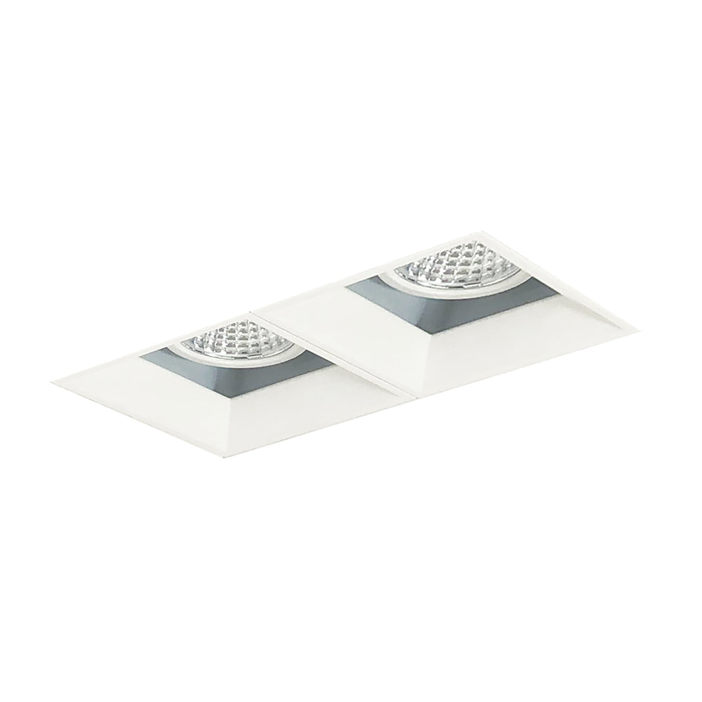 Nora Lighting Iolite MLS Two Head, Trimless Adjustable Snoot / Fixed Downlight