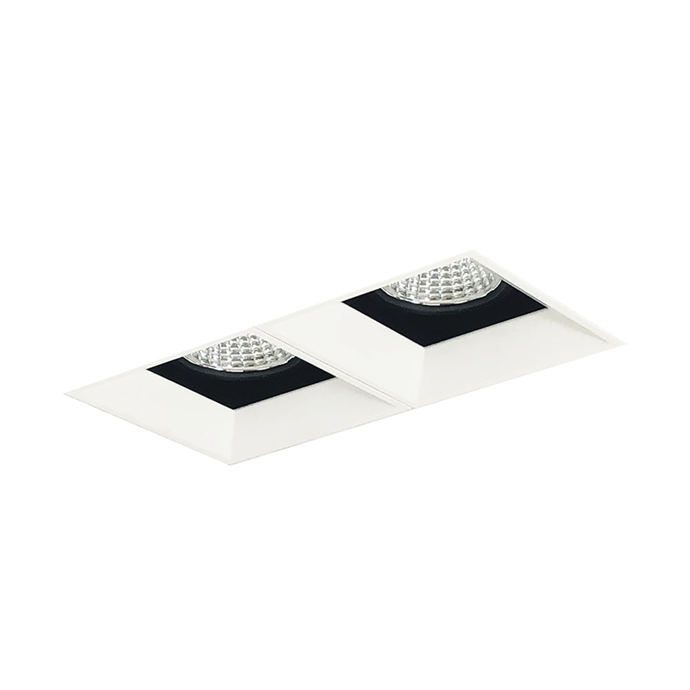 Nora Lighting Iolite MLS Two Head, Trimless Adjustable Snoot / Fixed Downlight