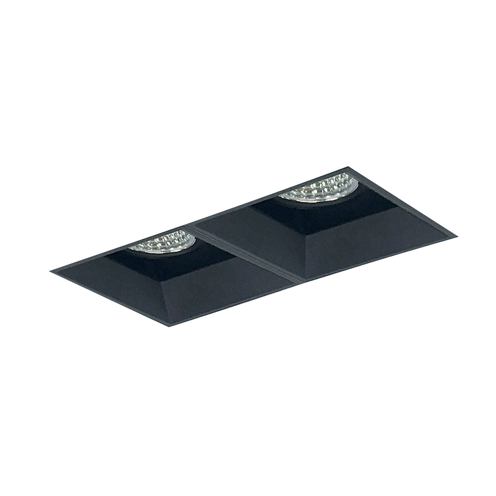 Nora Lighting Iolite MLS Two Head, Trimless Adjustable Snoot / Fixed Downlight