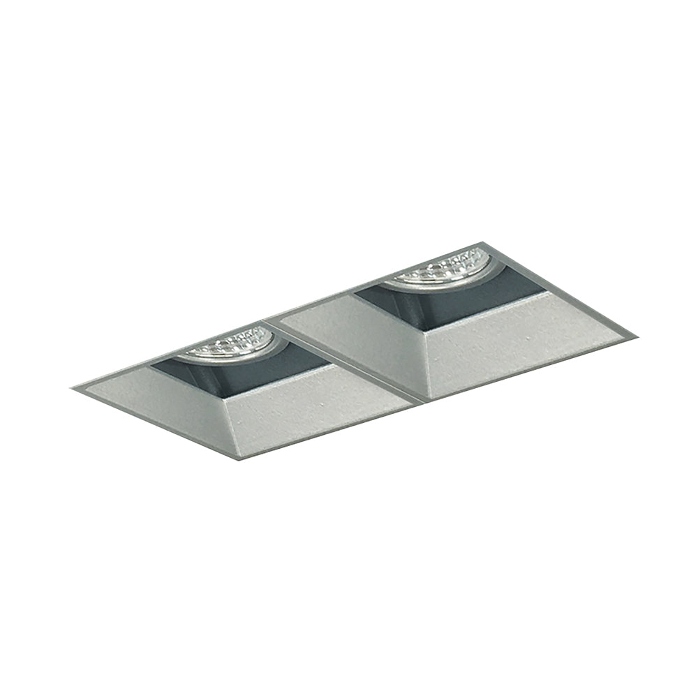 Nora Lighting Iolite MLS Two Head, Trimless Adjustable Snoot / Fixed Downlight