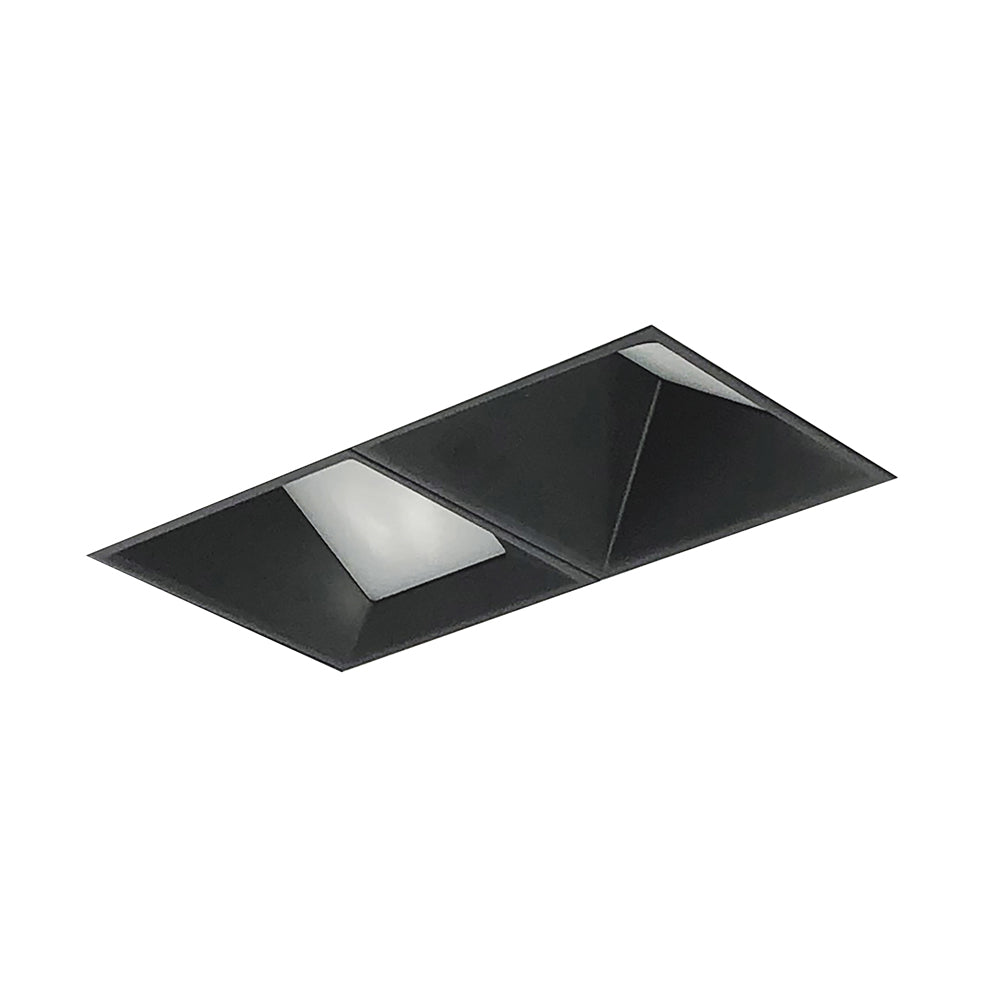 Nora Lighting Iolite MLS Two Head, Trimless Adjustable Snoot / Wall Wash