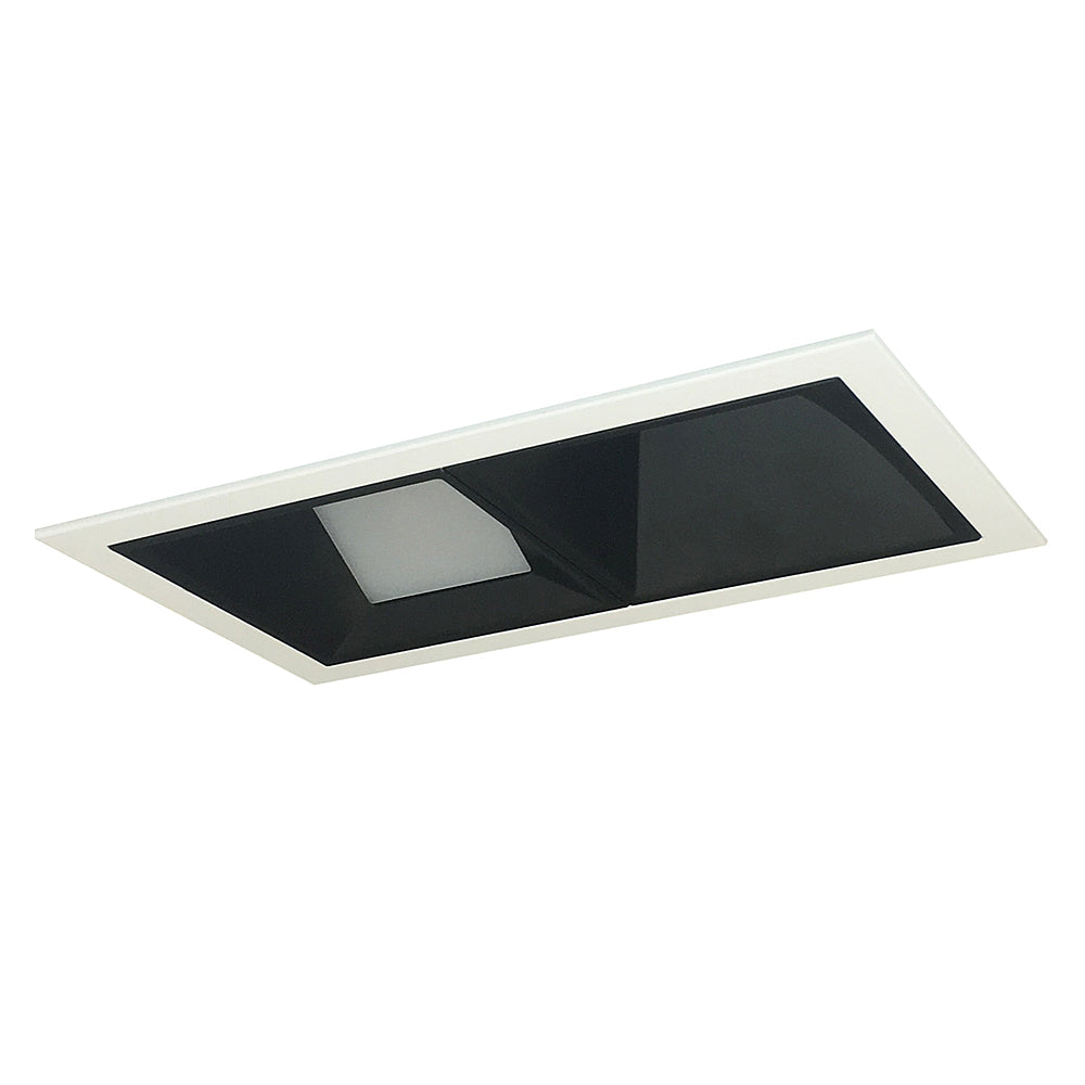 Nora Lighting Iolite MLS Two Head Adjustable Snoot / Wall Wash, Flanged