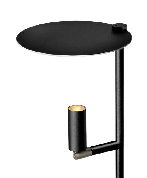 Kelly Table Lamp by Carpyen