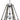 Framburg Meredith 9 - Light Matte Black Foyer Chandelier L1139 MBLACK