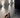Lodes Laser Wall Sconce