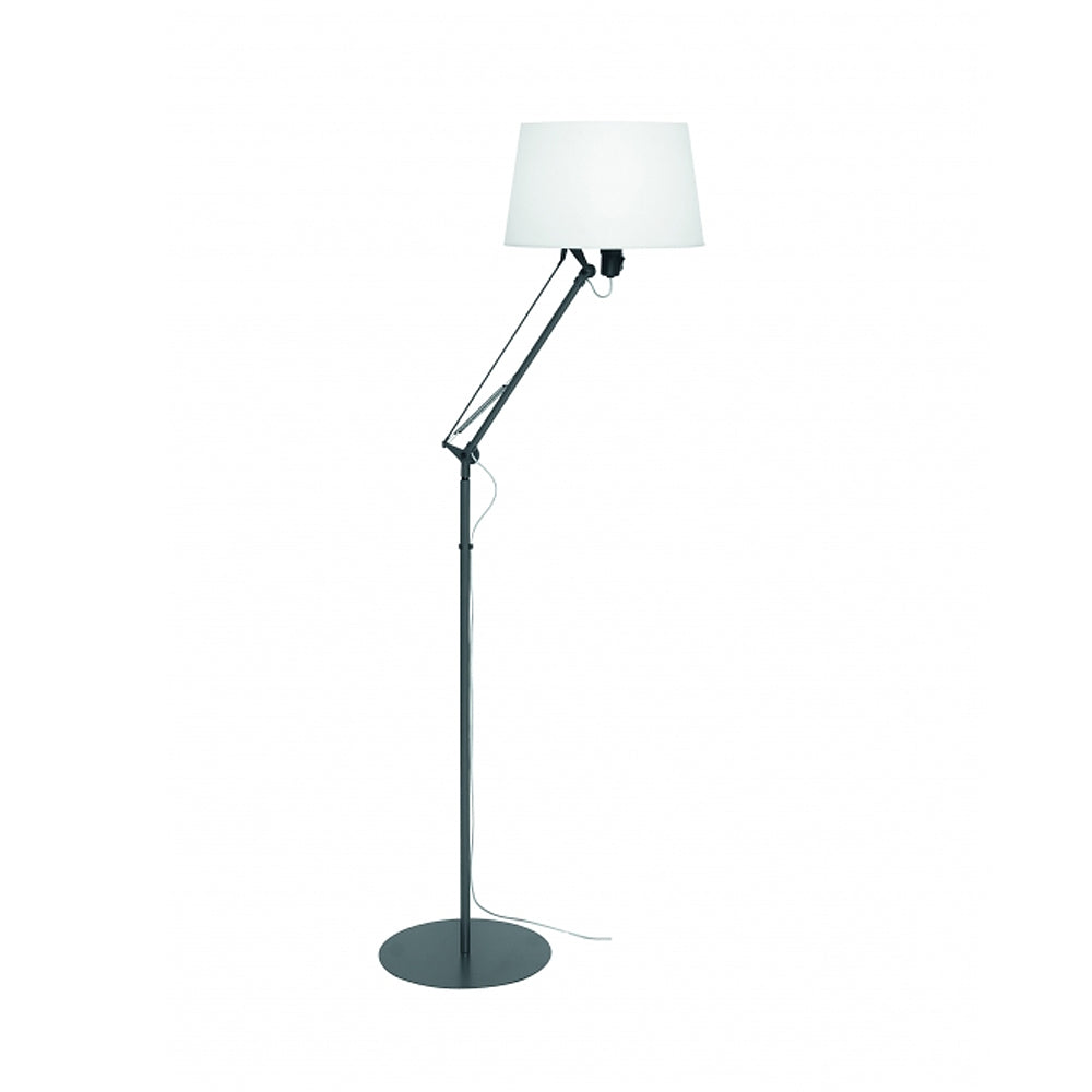 Lektor Floor Lamp by Carpyen