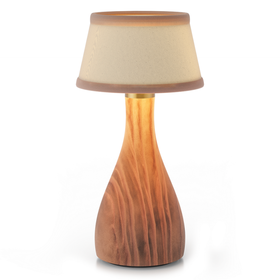 Bellingen Cordless Table Lamp Spring by Neoz