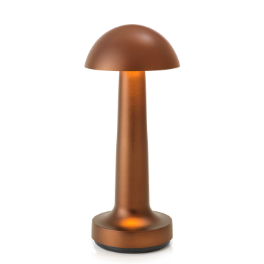 Cooee 1c rechargeable LED lamp, portable for bedside reading light, Bronze finish