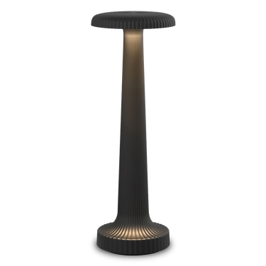 Tall Poppy Cordless Table Lamp by Neoz