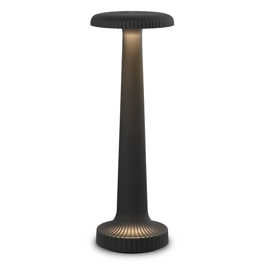 Tall Poppy Cordless Table Lamp by Neoz