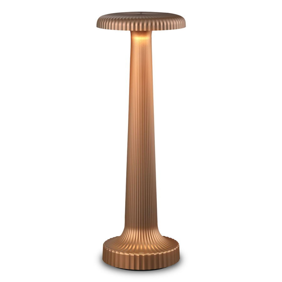 Tall Poppy Cordless Table Lamp by Neoz