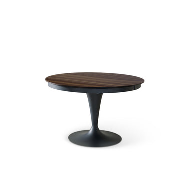 Eclipse Legno Dining Table by Ozzio