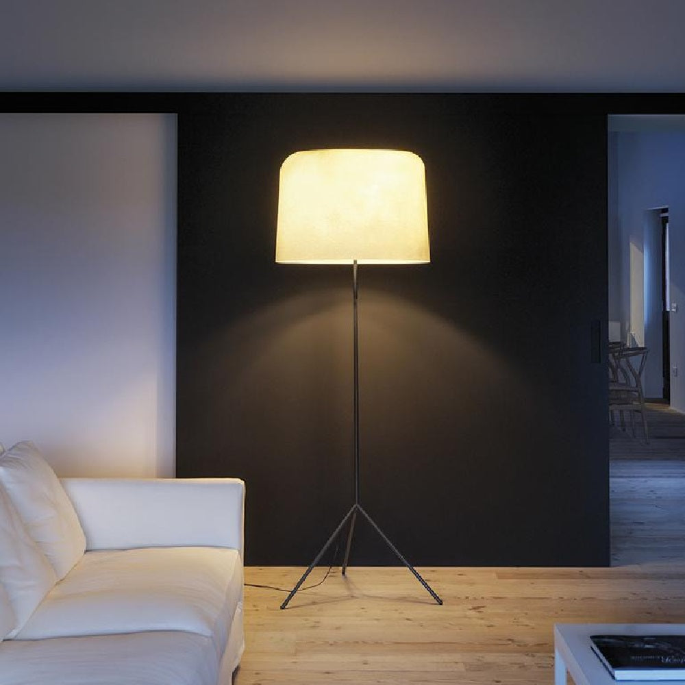 Ola Floor Lamp by Karboxx