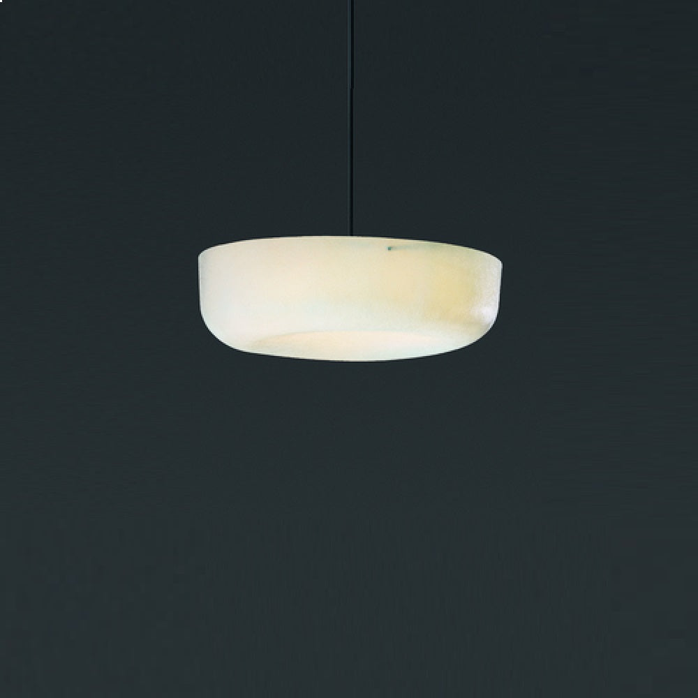 Ola Fly Pendant Light by Karboxx